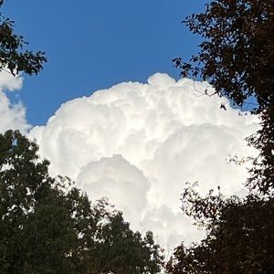 Meet your Posher, skinny kid